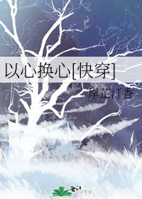 以心换心[快穿]