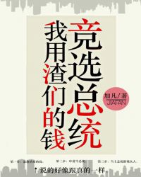 我用渣们的钱竞选总统